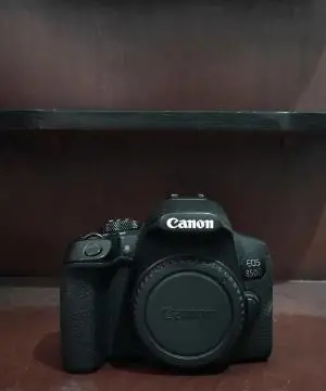 stock