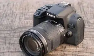 stock