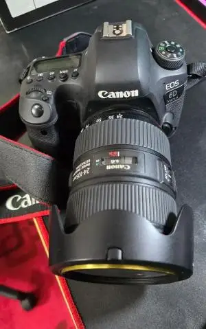 stock