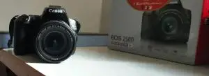 stock