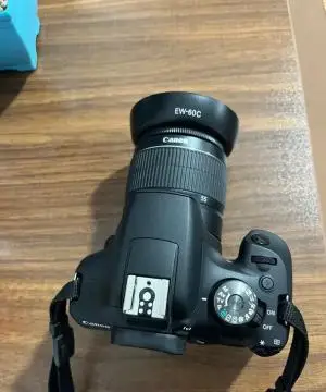 stock
