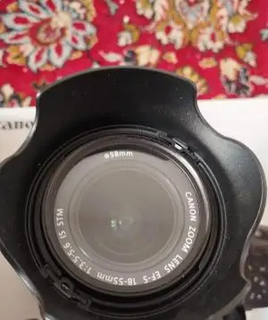 stock