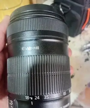 stock