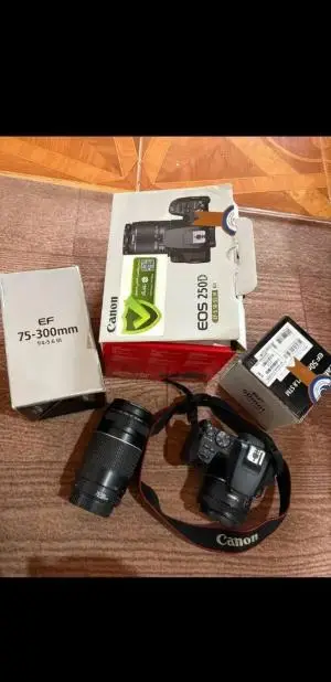 stock