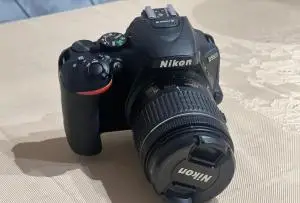 stock