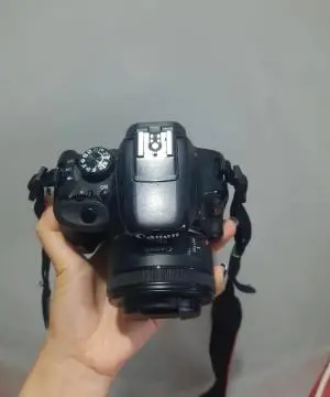 stock