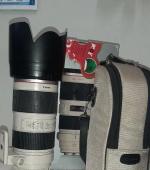 هود ET-87 برای لنز کانن Canon 70-200mm f/2.8L IS II USM دست دوم