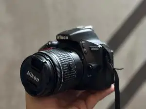 stock