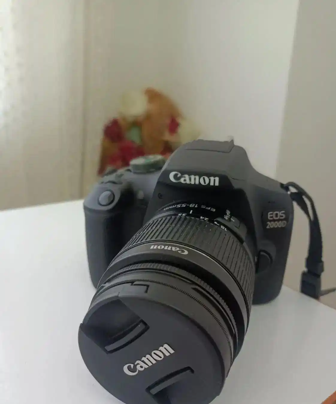 دوربین عکاسی کنون 2000d دست دو