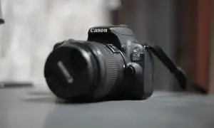 stock