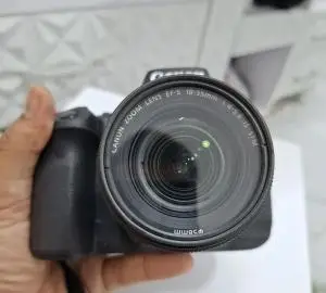 stock
