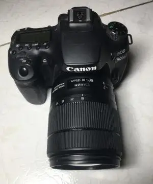 stock