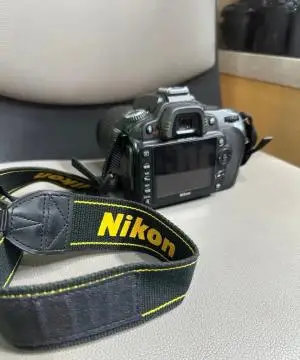 stock
