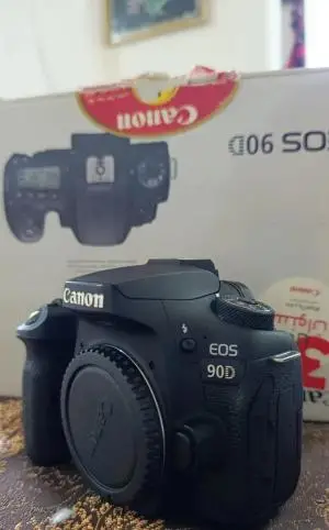 stock