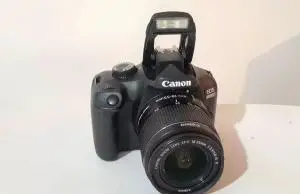stock