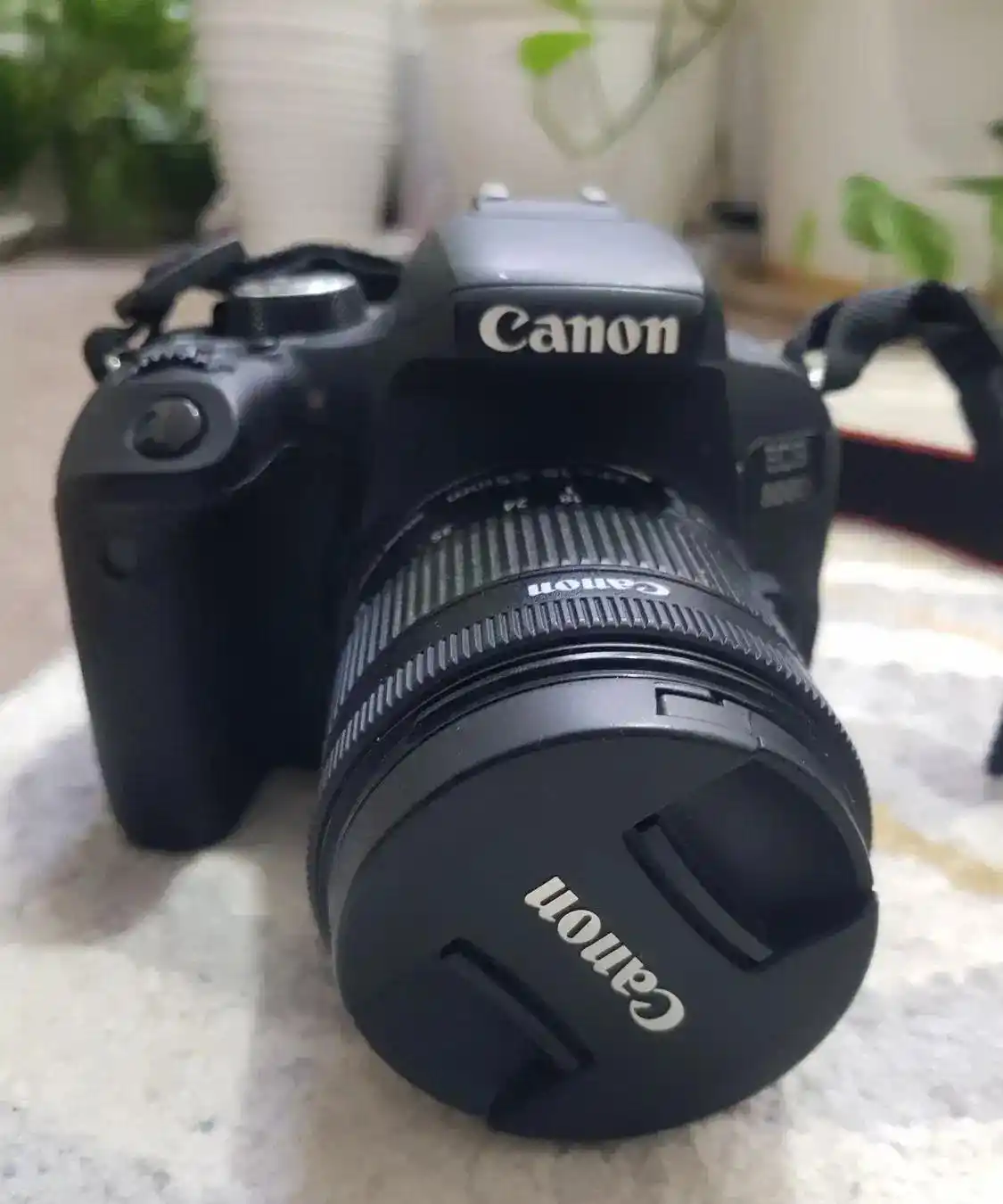 دوربین عکاسی canon 800d دست دو