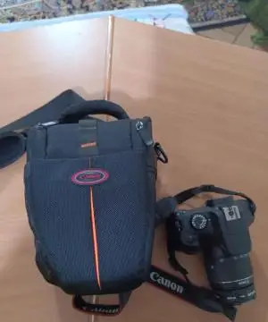 stock