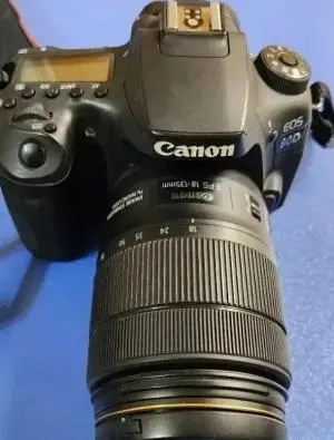 stock