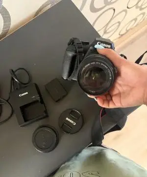 stock