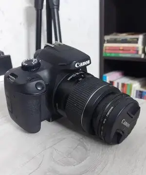 stock