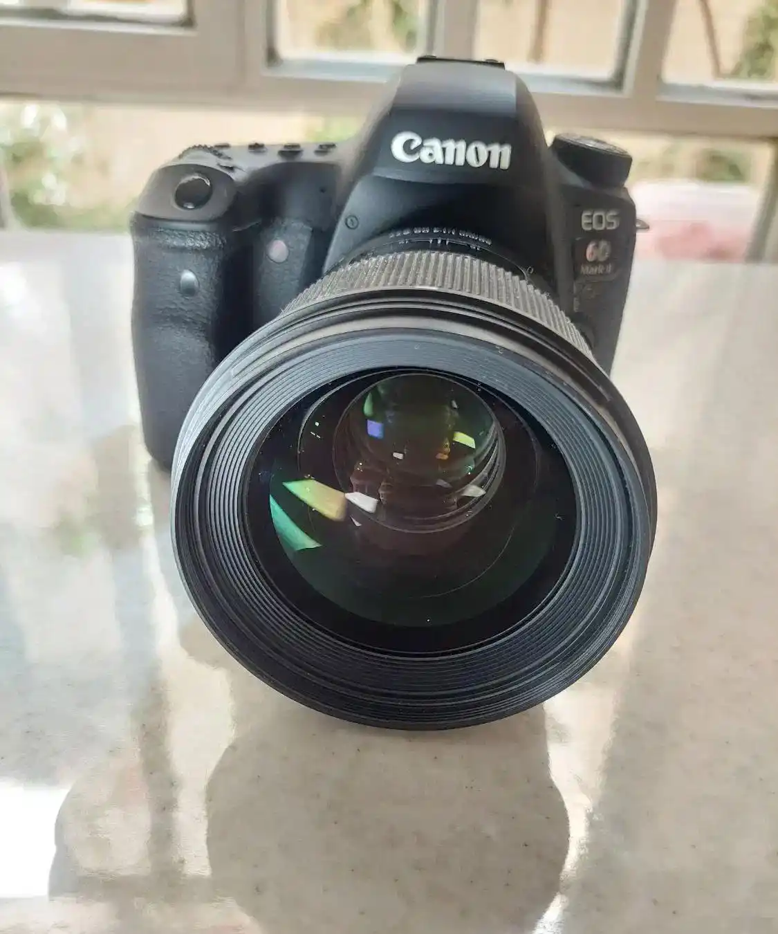 Canon EOS 6D Mark II دست دو
