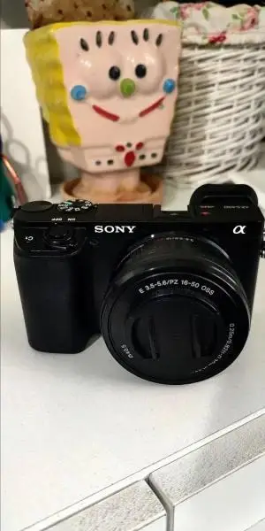 stock