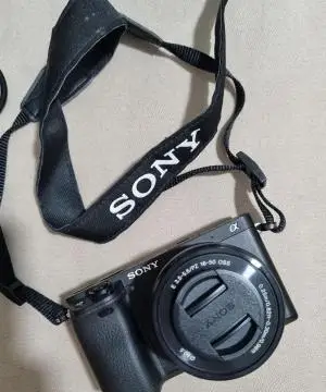 stock