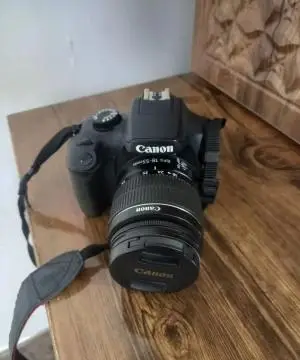 stock