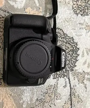 stock