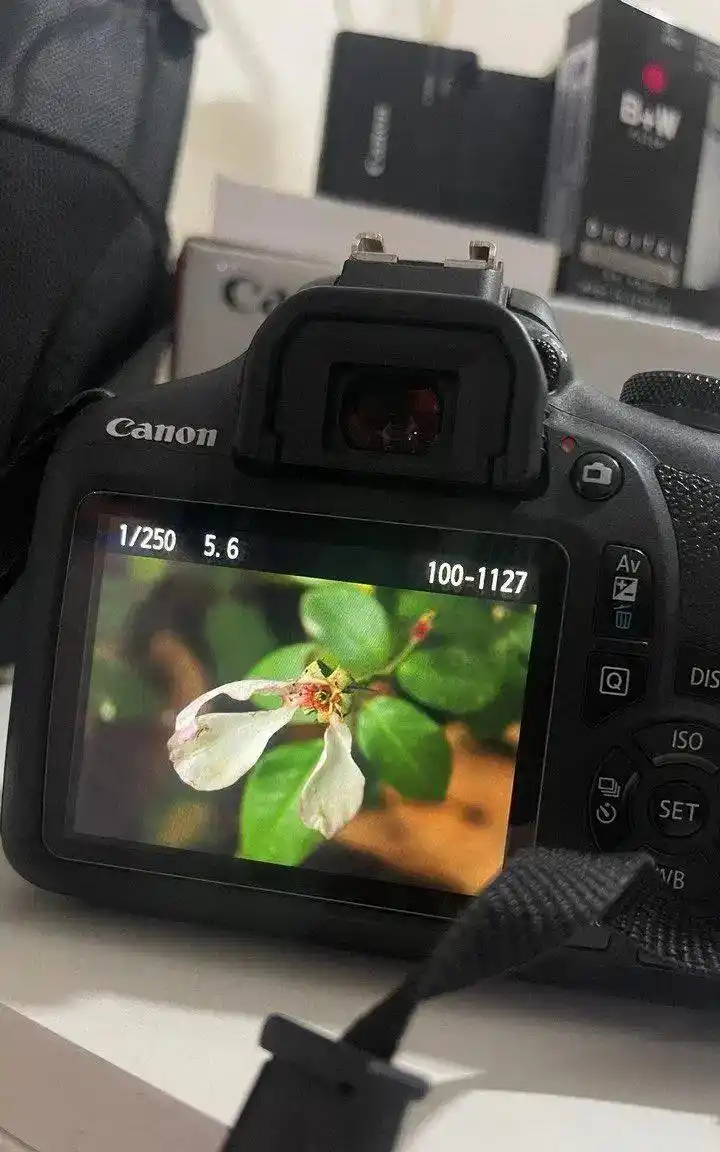 دوربین کنونcanon 2000D دست دو