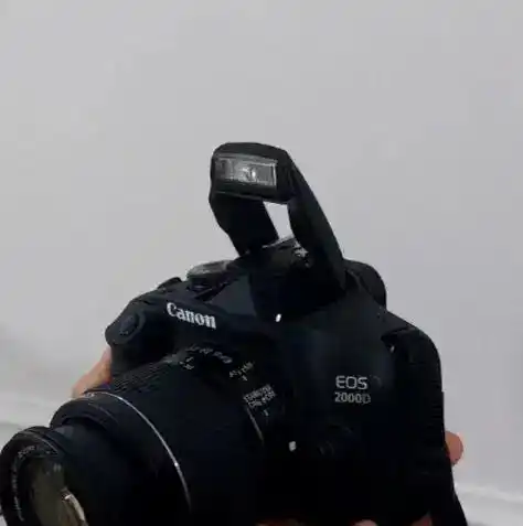 دوربین کنون دست دو