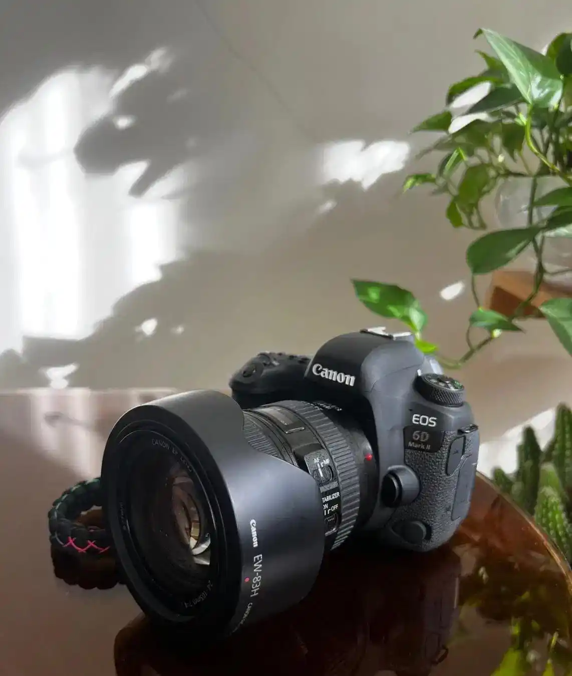 دوربین عکاسی  ۶دی مارک ۲ دست دو