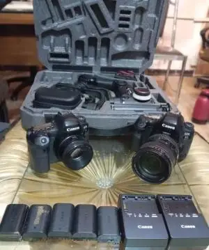 دوربین حرفه ای کانن | Canon 6D Mark ii+24-105mm L دست دوم
