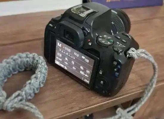 دوربین 250D دست دو