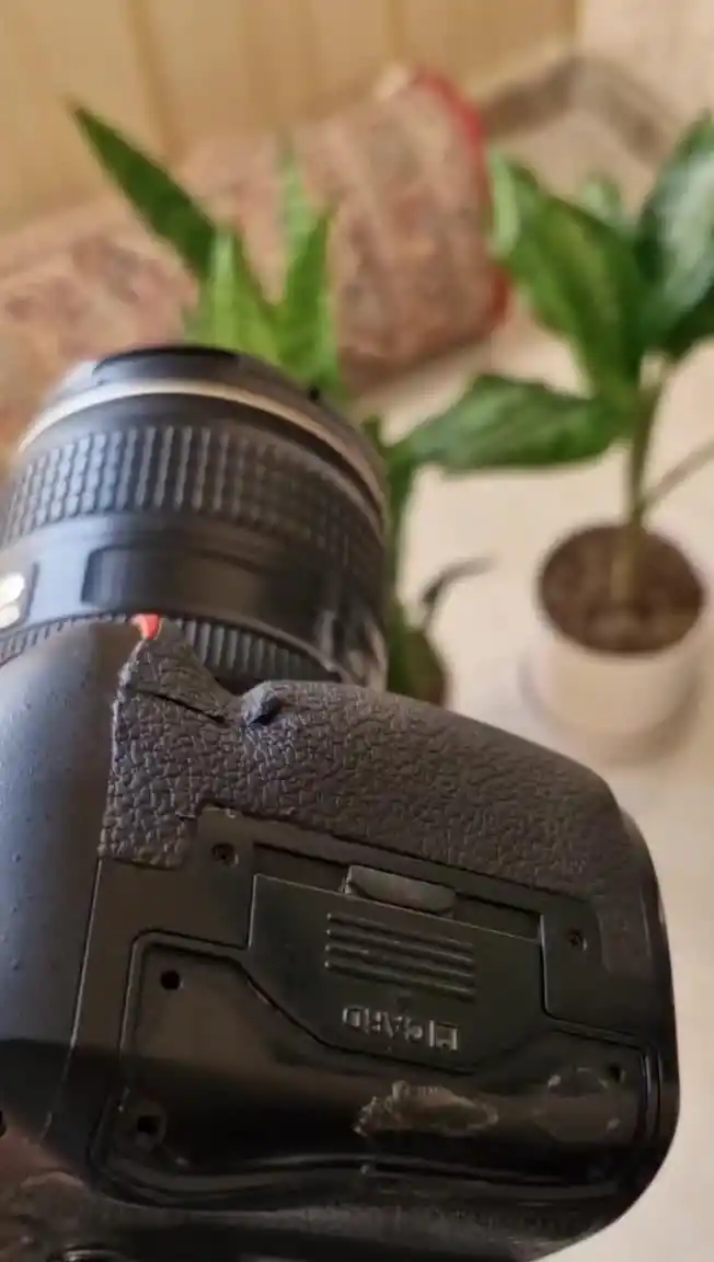 دوربین نیکون D810 دست دو