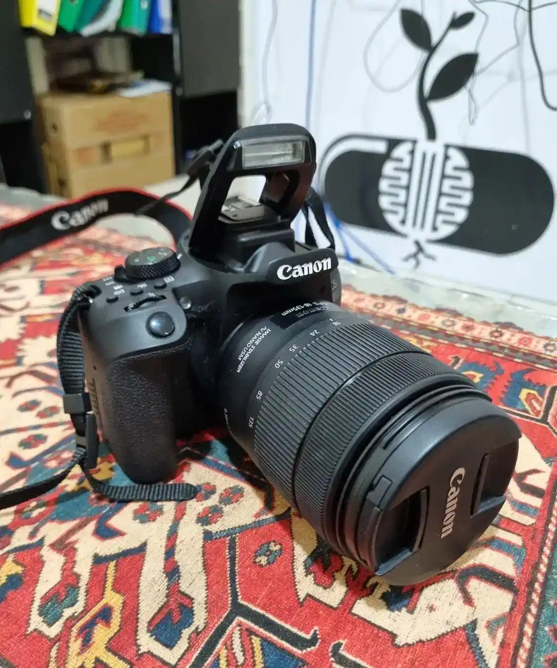 دوربین عکاسی حرفه ای canon EOS 850D دست دو