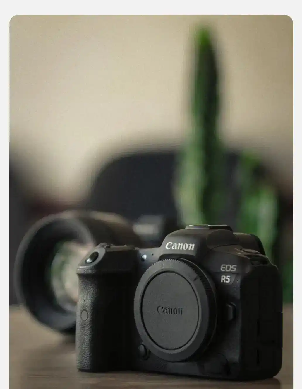 canon r5 کنون دست دو