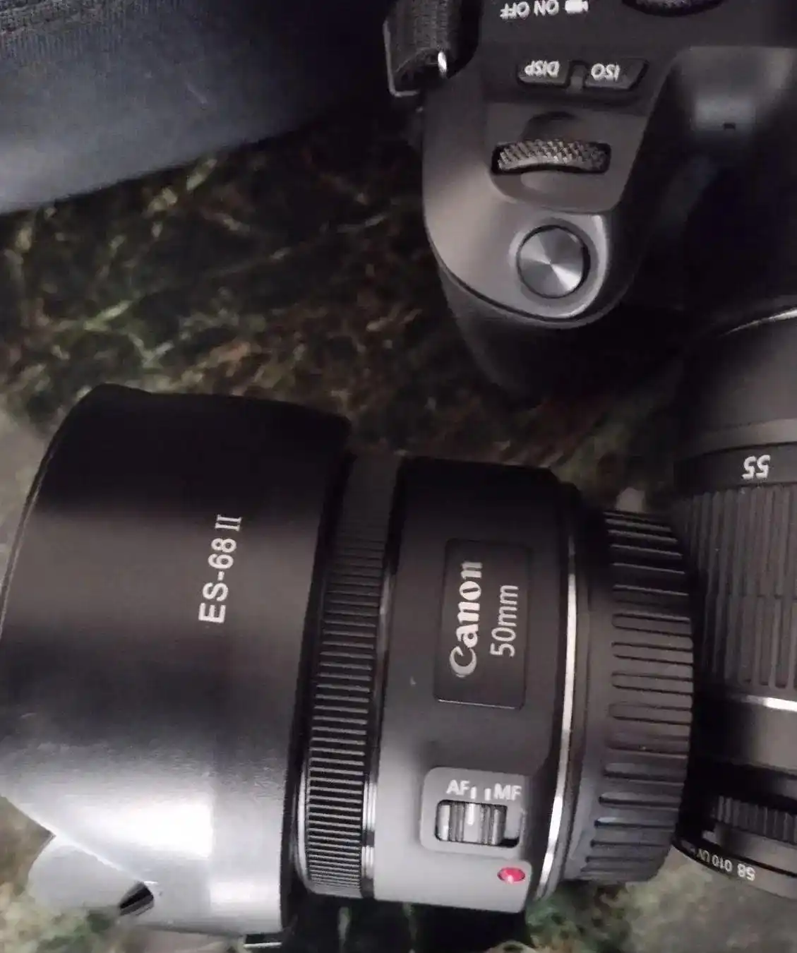 دوربین عکاسی دست دو