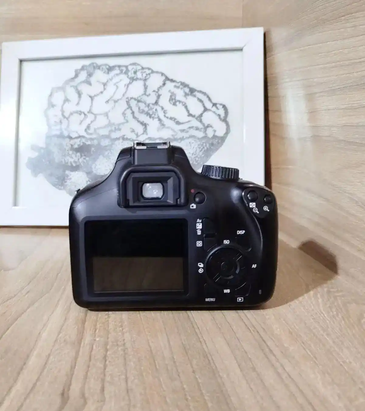 دوربین 4000d کنون دست دو