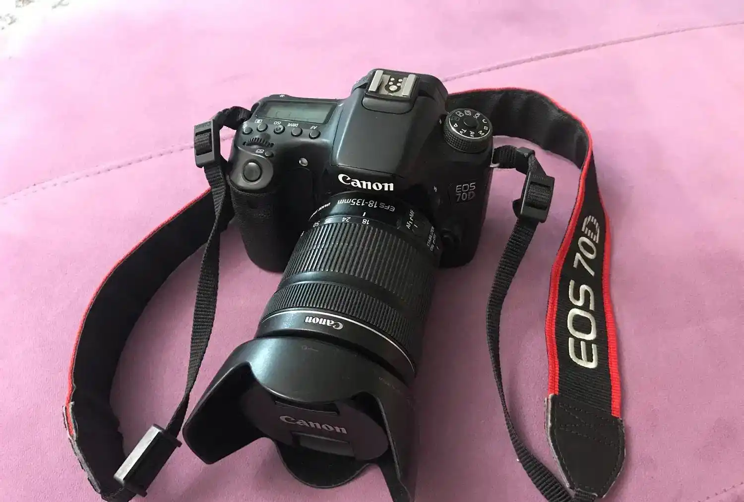 دوربین D70 دست دو