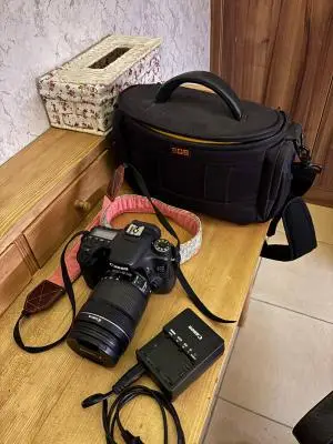 stock