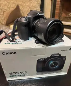 stock