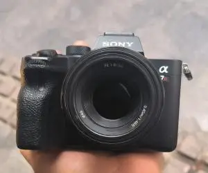 stock