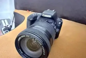 stock