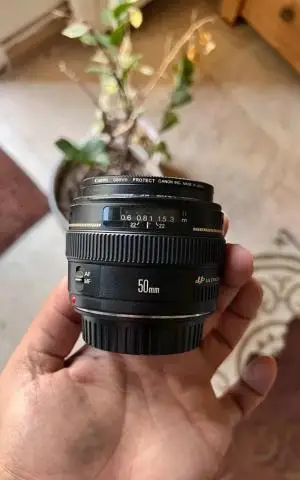 stock