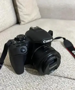 stock