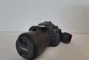 stock
