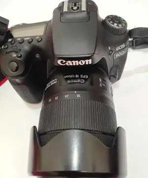 stock