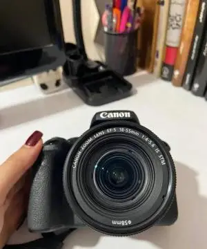 stock