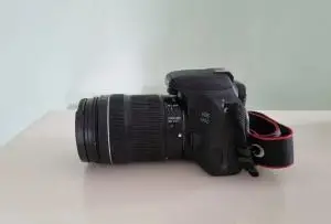stock